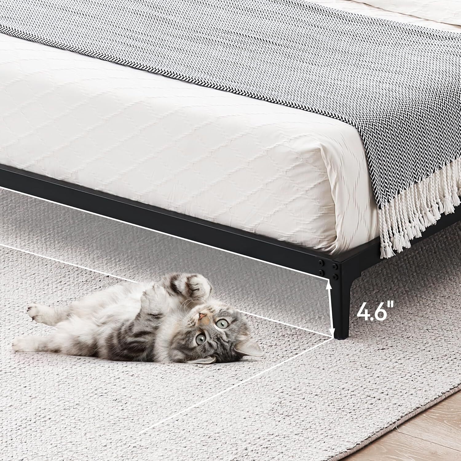 6 Inch Heavy Duty Queen Size Metal Platform Bed Frame with Sturdy Support Slats