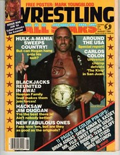 WRESTLING ALL-STARS #6 AUGUST 1984 HULK HOGAN DUSTY RHODES STAN LANE MR FUJI WWF