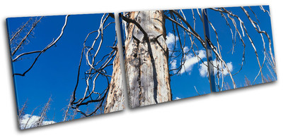 Old Tree Landscapes TREBLE Leinwand Wand Kunst Bild drucken