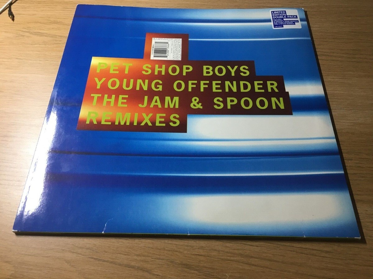 PET SHOP BOYS 2 X 12