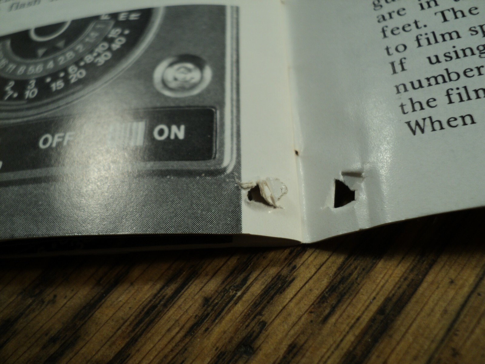 Picture 5 of 7