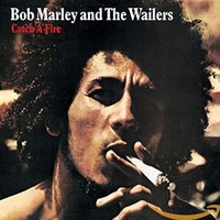 Bob Marley The Wai - Catch A Fire - Cd - F600Z