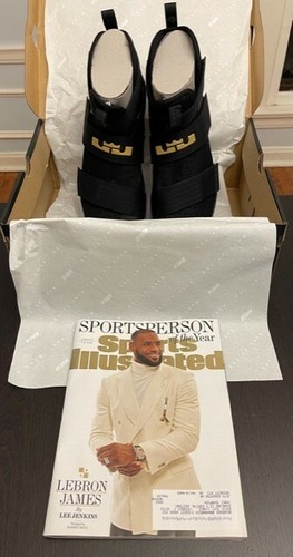 lebron soldier 10 id