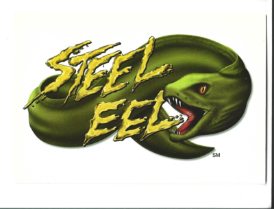 THE STEEL EEL RC HYPERCOASTER-70 MPH,SEA WORLD ADVENTURE PARK~SAN