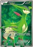 Virizion Basic Holo Rare 97/101 Noble Victories Pokémon Card
