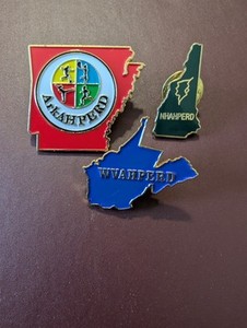 Association For Health, Physical Education, Recreation And Dance Pins