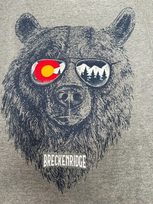 Breckenridge Colorado Hodie Mens DUCK CO Large Gray Bear Mountain Graphic A0025