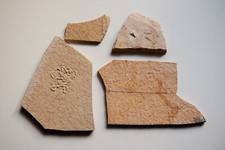 4 Fossilien aus Solnhofen (Krebs, Fisch, Koprolith, Lamell-Aptychen), Weißjura