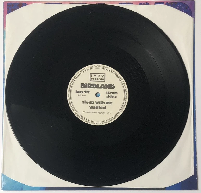 Birdland - Sleep With Me. UK Vinyl EP / 12" Single. Nm Vinyl & Audio. - Image 3 of 4