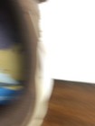 Bild 8 von 12