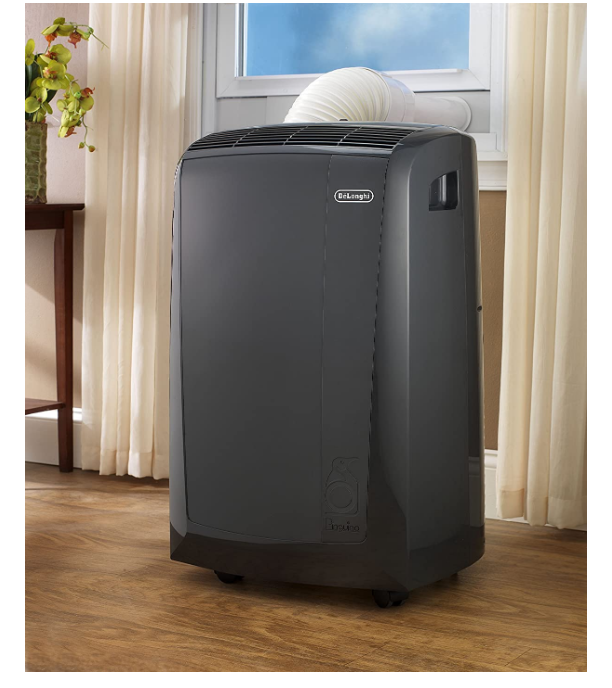 DeLonghi Pinguino Air-to-Air Portable 