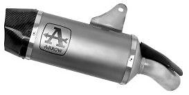 じゅんに Comprehensive Transcriptome Analysis Reveals the Distinct