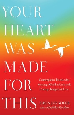 Oren Jay Sofer Your Heart Was Made for This (Taschenbuch)