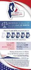 Maine Stats Card Brochure (Pack of 50)