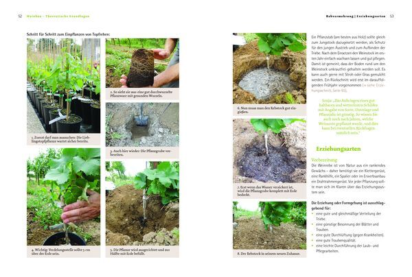 Thumbnail - Bio-wein Eigenen Garten