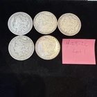 lot of 5 morgan silver dollars