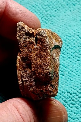 Paleolithic multidimensional sophisticated Spirit Sculpture Excelent Condition