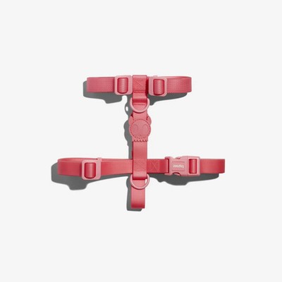 ZEE.DOG NeoPro Bubblegum Dog H-Harness | Weatherproof | Water Resistant Outdoor