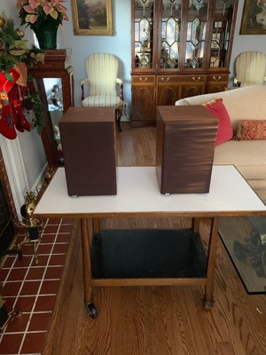 bowers & wilkins dm12