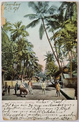 AK - Litho - Bombay Indien - A Palm Grove - gelaufen 1907