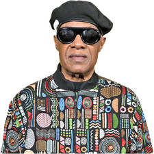 Stevie Wonder (Jacket) Half Body Buddy Cutout