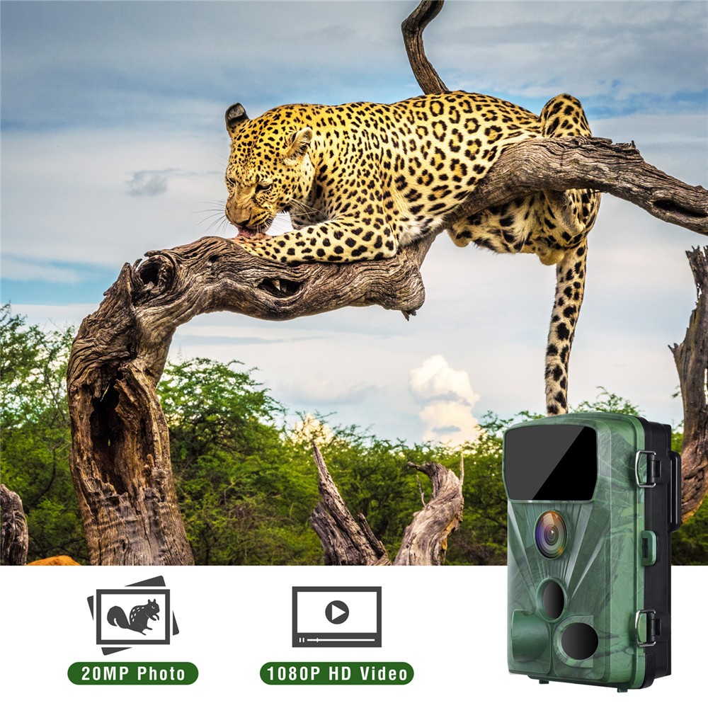 1080P 20MP Trail Camera Wildlife Hunting Game Camera  IR Night Vision Outdoor