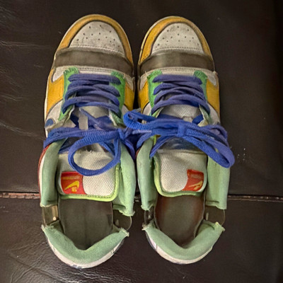Nike Dunk SB Men s Low EBay Sandy Boedecker