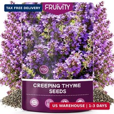 20000 pcs Creeping Thyme Seeds for Planting, Perennial Ground Cover Plants Heirl