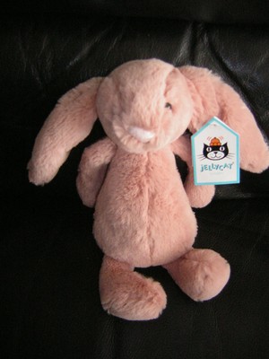 apricot jellycat bunny