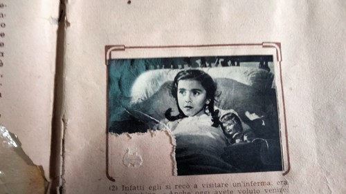 Marcellino pane e vino Animali di tutto il mondo Lampo anni 50 per recupero figu - Foto 2 di 14