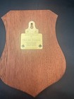 Vintage Historic Families Irish Name Plaque McCann Family Coat of Arms Boar — photo 4
