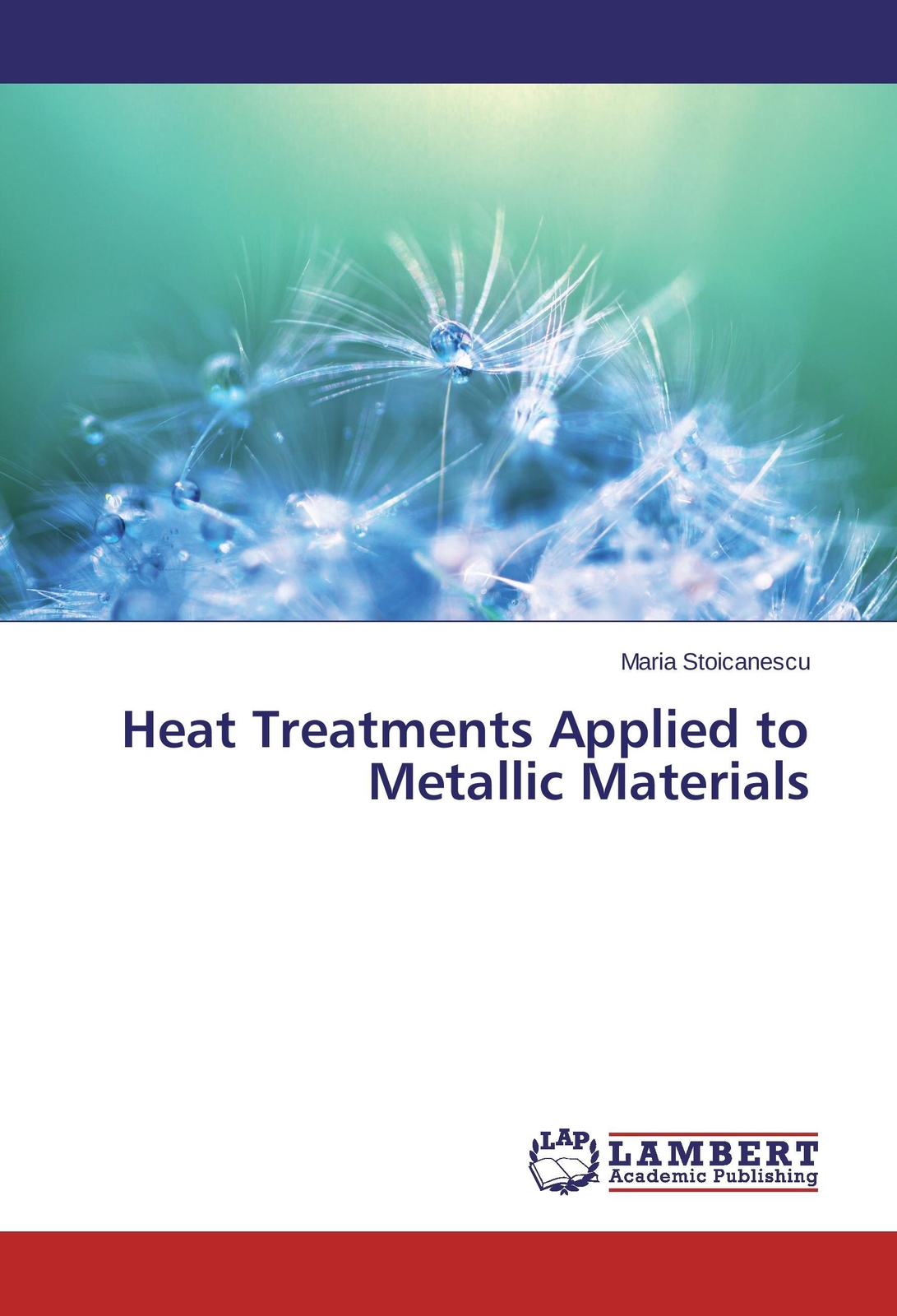 Thumbnail - Maria Stoicanescu | Heat Treatments Applied To Metallic Materials |