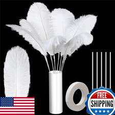 80 Pcs Ostrich Feathers Bulk Large Natural 8-12in with Iron Wire Tape for Vase