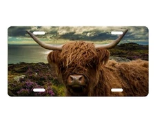 Highland Cow Western Vanity Aluminum Front License Plate Car Accessory