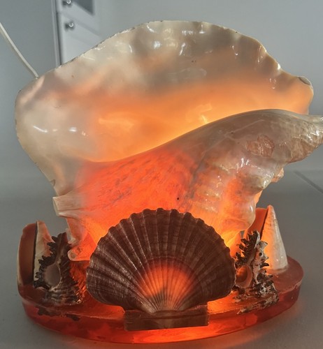 Vintage Conch Shell TV Lamp Beach Seashell Nightlight | eBay