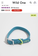 Wild One dog collar Issac Mizrahi Small