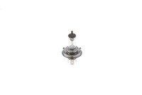 GlüHlampe Fernscheinwerfer Bosch 1 987 301 410 FüR Abarth Alfa Romeo Audi