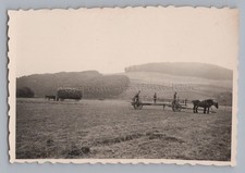 Agricoltura - Farmacia specializzata Thiel Kreiensen - vecchia foto anni '30