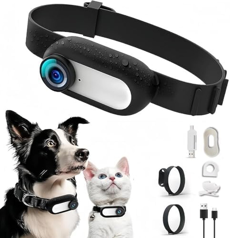 Fotocamera Wearable per Gatti 1080P HD - La Nuova Frontiera del Pet POV