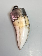 Antique Silver Mount Big Predator Fang Pocket Watch Chain Fob Pendant Charivari