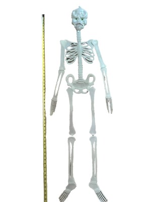 Vintage Glow in the Dark Posable Flat Plastic Skeleton Halloween Tall ...