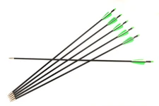 6PCS 30" Fiberglass Arrow SP400 w/2Green 1White Feather Vane for Archery Hunting