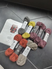 Autumn Kit Isager Spinni Wool 1 💯 Wool 50g 330 Yds Each 8 Skeins 