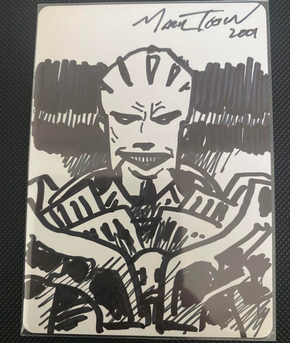 MTG Magic the Gathering Artist Proof Mark Tedin / Ertai, the