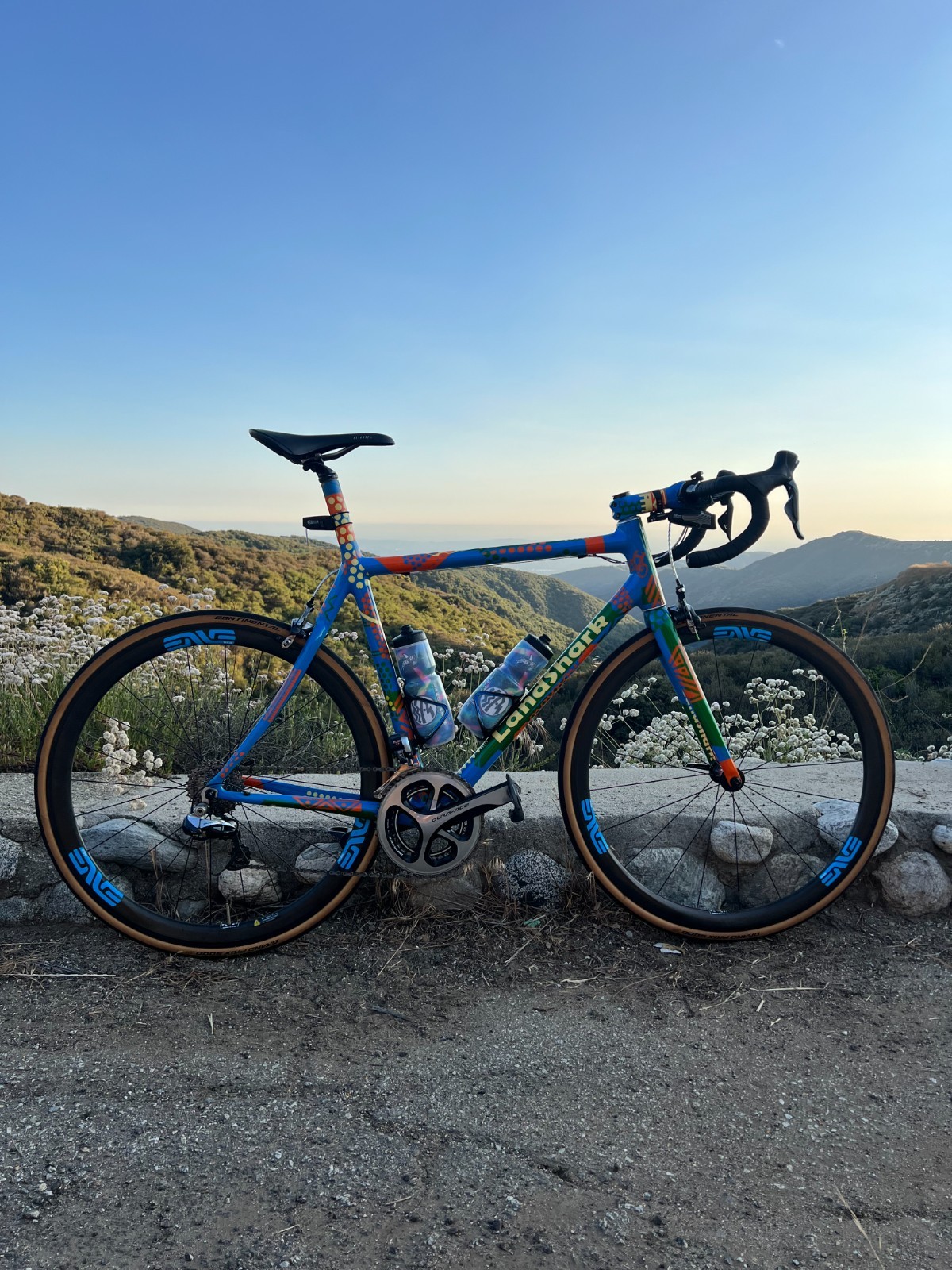 Land Shark Custom John Slawta Carbon Road Bike Dura-Ace Di2 