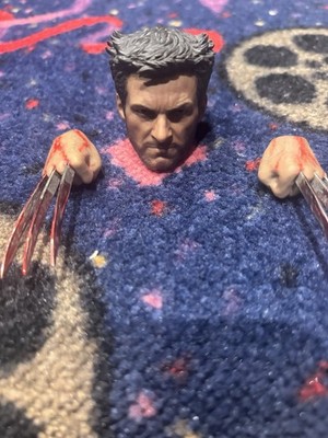 The Wolverine Authentic Hot toys Head sculpt Rare Hugh Jackman 1/6 Custom