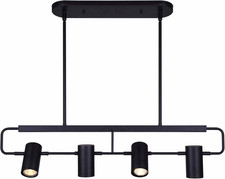 Modern 4-Light Adjustable Track Lighting in Black Finish for Living Spaces