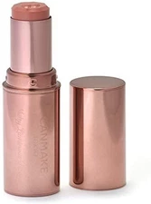 New CANMAKE Melty Luminous Rouge T02 Rose Milk Tea 3.8g from Japan