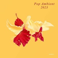 Various Artists - Pop Ambient 2023 - Vinyl Record - F600Z