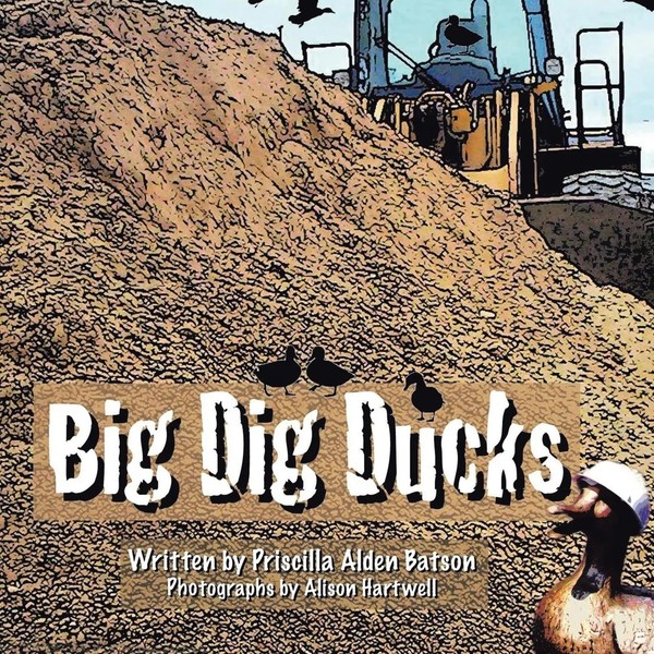Big Dig Ducks Priscilla Batson Taschenbuch Kartoniert / Broschiert Englisch 2022-image